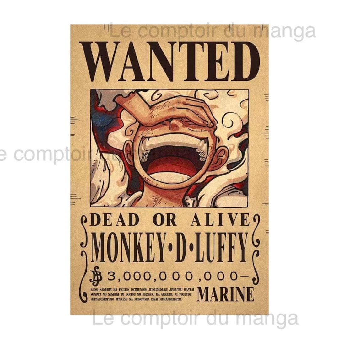 Monkey D Dragon Wanted Poster One Piece | Art Board Print