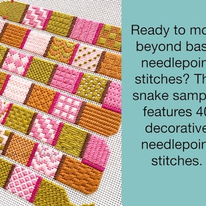 K&ouml;nnte beinhalten: Ein Nadelstich-Schlangen-Muster mit 40 dekorativen Stichen in Rosa, Hellrosa, Olivgr&uuml;n und Senfgelb auf einem wei&szlig;en Leinwandgitter. Der Text lautet: Ready to move beyond basic needlepoint stitches? This snake sampler features 40 decorative needlepoint stitches.