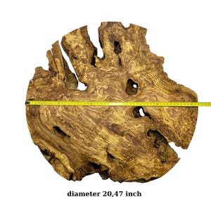 May include: A natural olive wood slab with a prominent grain pattern and irregular edges, featuring several organic voids. A yellow measuring tape is placed across the center, indicating a diameter of approximately 20.47 inches.