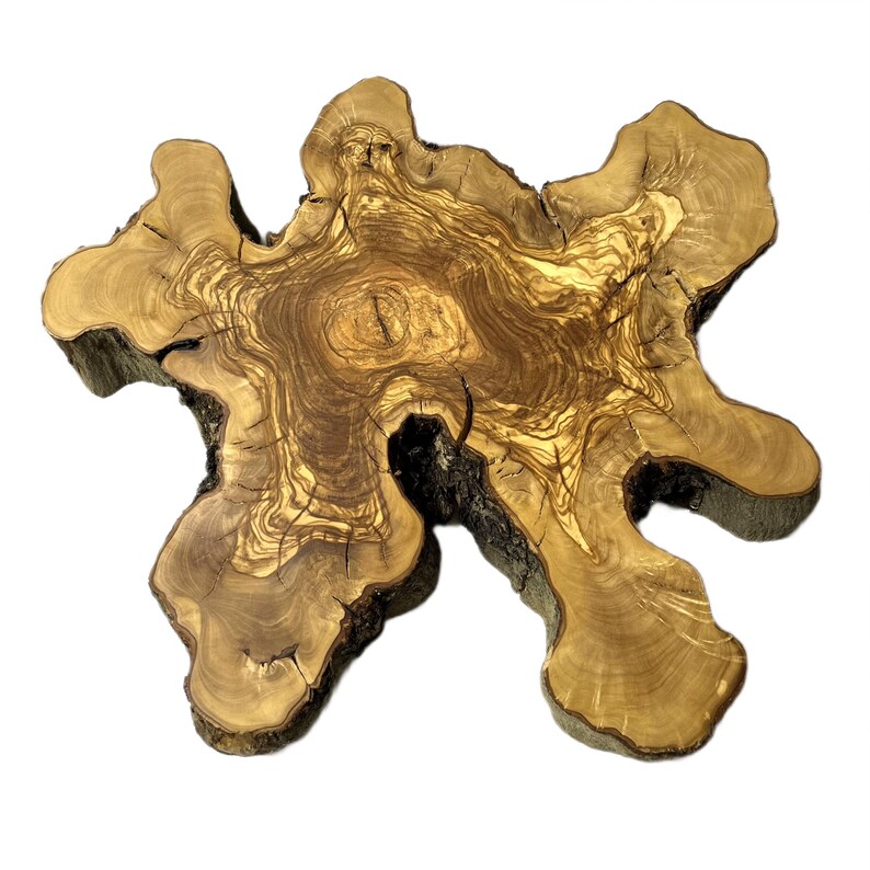 Natural Olive Tree Slice With Unique Pattern , Olive Tree Suitable for