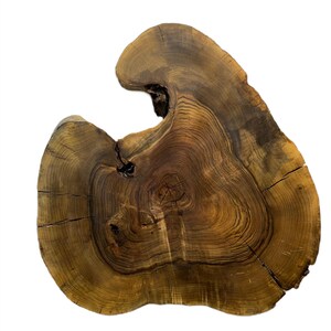 May include: A large, natural wood slice with a unique, irregular shape and a beautiful grain pattern. The wood is a rich brown colour with darker streaks and knots. The slice is perfect for use as a decorative element or a serving tray.