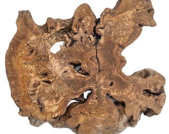 Olive Wood Slice: Natural Edge Wood Board for Art & Epoxy