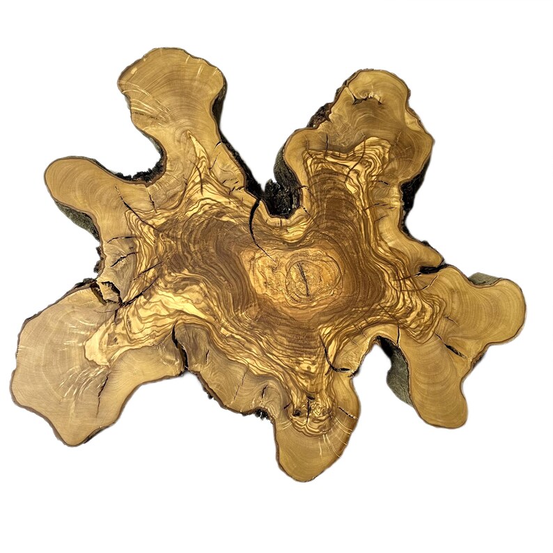 Natural Olive Tree Slice With Unique Pattern , Olive Tree Suitable for