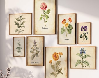 ヴィンテージハーブ＆フラワープリント - ボタニカルキッチンギャラリー、15枚セット（デジタルダウンロード）