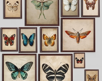 Set di stampe di farfalle vintage: arte entomologica, decorazioni ispirate alla natura (download digitale)