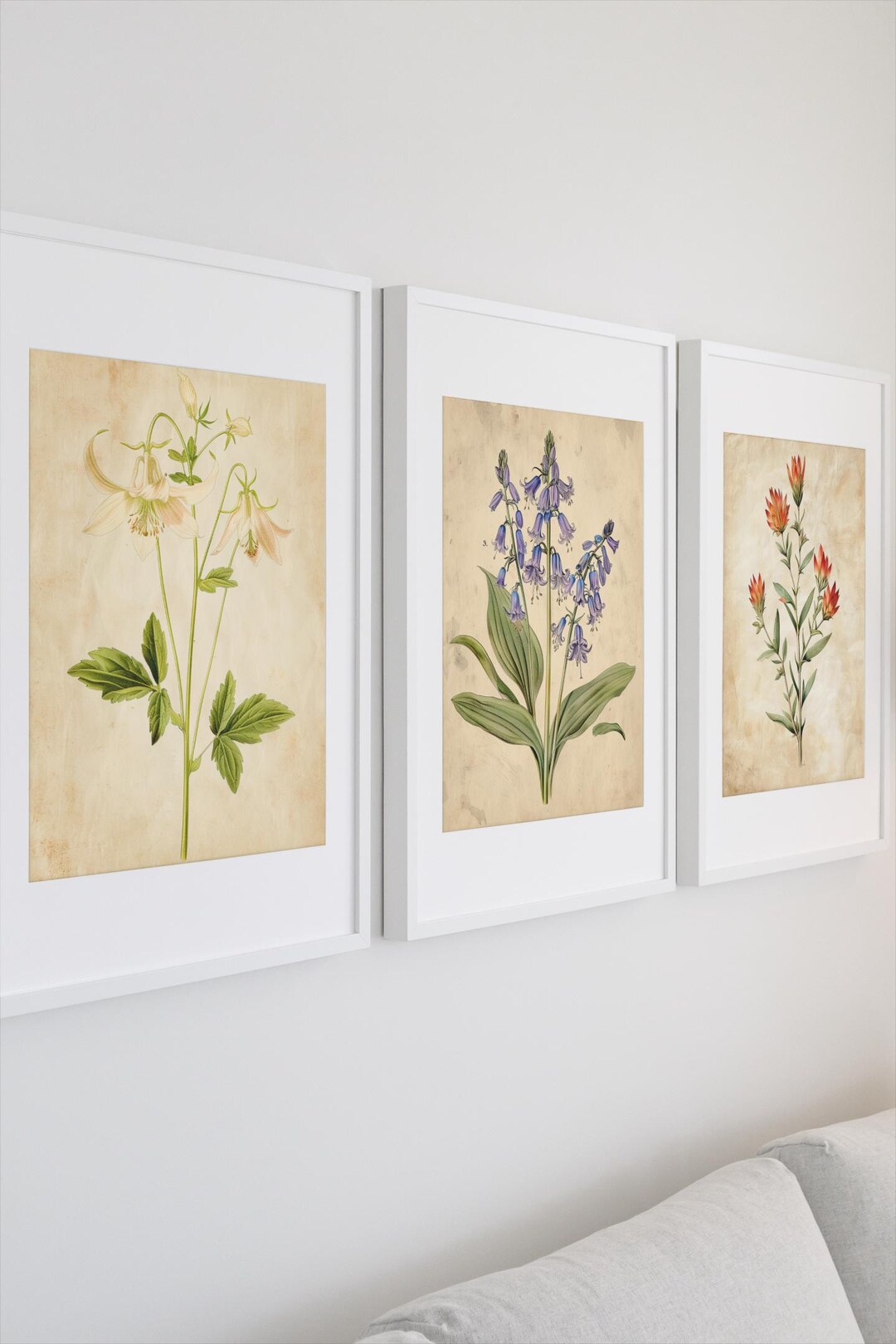 Vintage Wildflower Botanical Prints Set - Rustic Floral Wall Art ...
