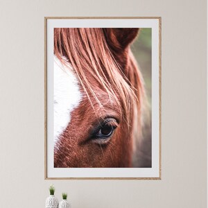 Horse Photography, Horse Print, Digital Download, Rustic Wall Art, Horse Wall Art, Printable Art, Boho Wall Art, Farm Animal Wall Art