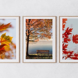 Ensemble de mur de galerie d&#39;automne, art de mur d&#39;automne, téléchargement numérique, photographie d&#39;arbre, feuilles d&#39;automne, art imprimable de lac, banc, calme, art de nature d&#39;automne