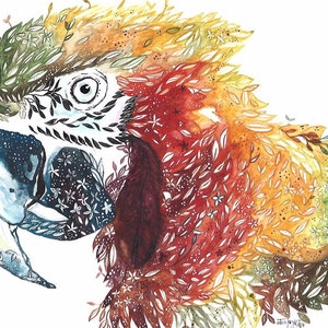 Macaw Flora&Wind