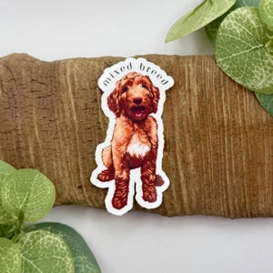 Goldendoodle Sticker | Mixed Breed Sticker | Vet Med Stickers | Waterproof Stickers for Water Bottle | Veterinary Stickers | Vet Tech Gift