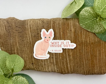 Why Is It Inside Out Sticker | Friends Cat Sticker | Vet Med Stickers | Waterproof Sticker for Water Bottle | Veterinary Stickers