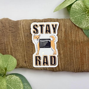 Stay Rad Sticker | Vet Med Sticker | Waterproof Sticker for Water Bottle | Vet Tech Gifts | Veterinary Gifts