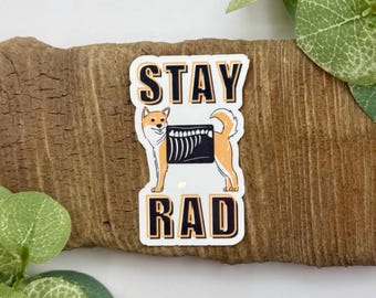 Stay Rad Sticker | Vet Med Sticker | Waterproof Sticker for Water Bottle | Vet Tech Gifts | Veterinary Gifts