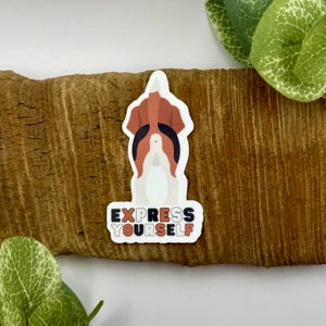 Express Yourself Sticker | Vet Med Gifts | Veterinary Stickers | Vet Tech Gift | Waterproof Sticker for Water Bottle