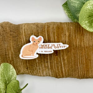 Why Is It Inside Out Sticker | Friends Cat Sticker | Vet Med Stickers | Waterproof Sticker for Water Bottle | Veterinary Stickers