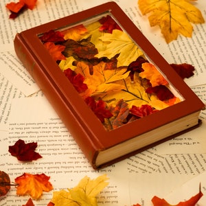 Fall leaves