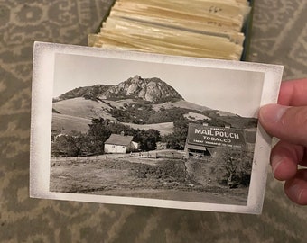 Mystery Vintage California Post Card
