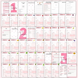 K&ouml;nnte beinhalten: Ein druckbares Schwangerschaftsjournal mit rosa und wei&szlig;en Aquarell-Illustrationen von Sternen und Fr&uuml;chten. Das Journal ist in drei Trimester unterteilt und enth&auml;lt Abschnitte zur Verfolgung von Symptomen, Gewichtszunahme, Gel&uuml;sten und Terminen.
