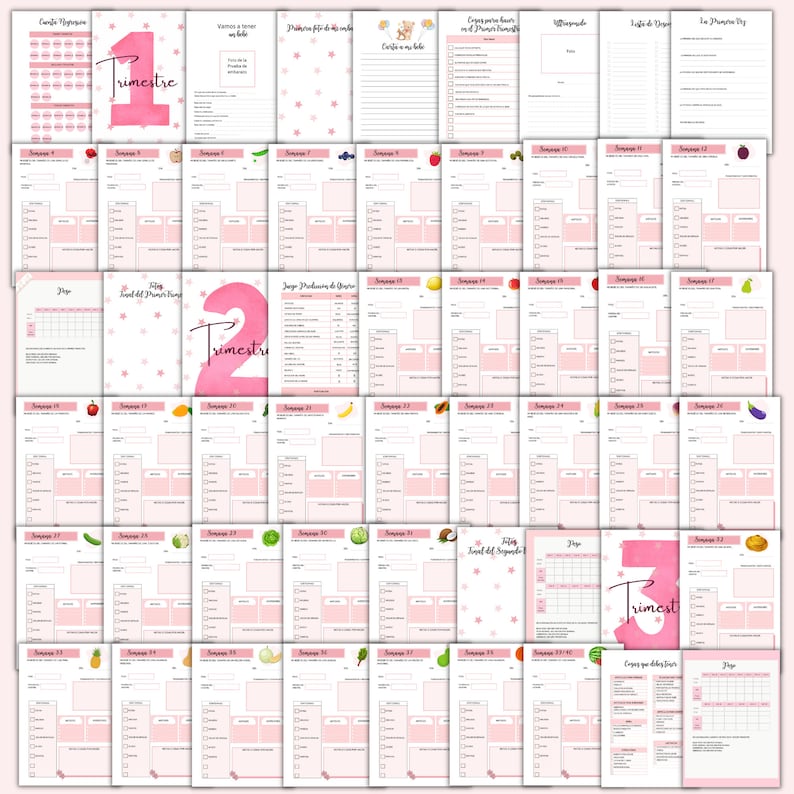 K&ouml;nnte beinhalten: Ein druckbares Schwangerschaftsjournal mit rosa und wei&szlig;en Aquarell-Illustrationen von Sternen und Fr&uuml;chten. Das Journal ist in drei Trimester unterteilt und enth&auml;lt Abschnitte zur Verfolgung von Symptomen, Gewichtszunahme, Gel&uuml;sten und Terminen.