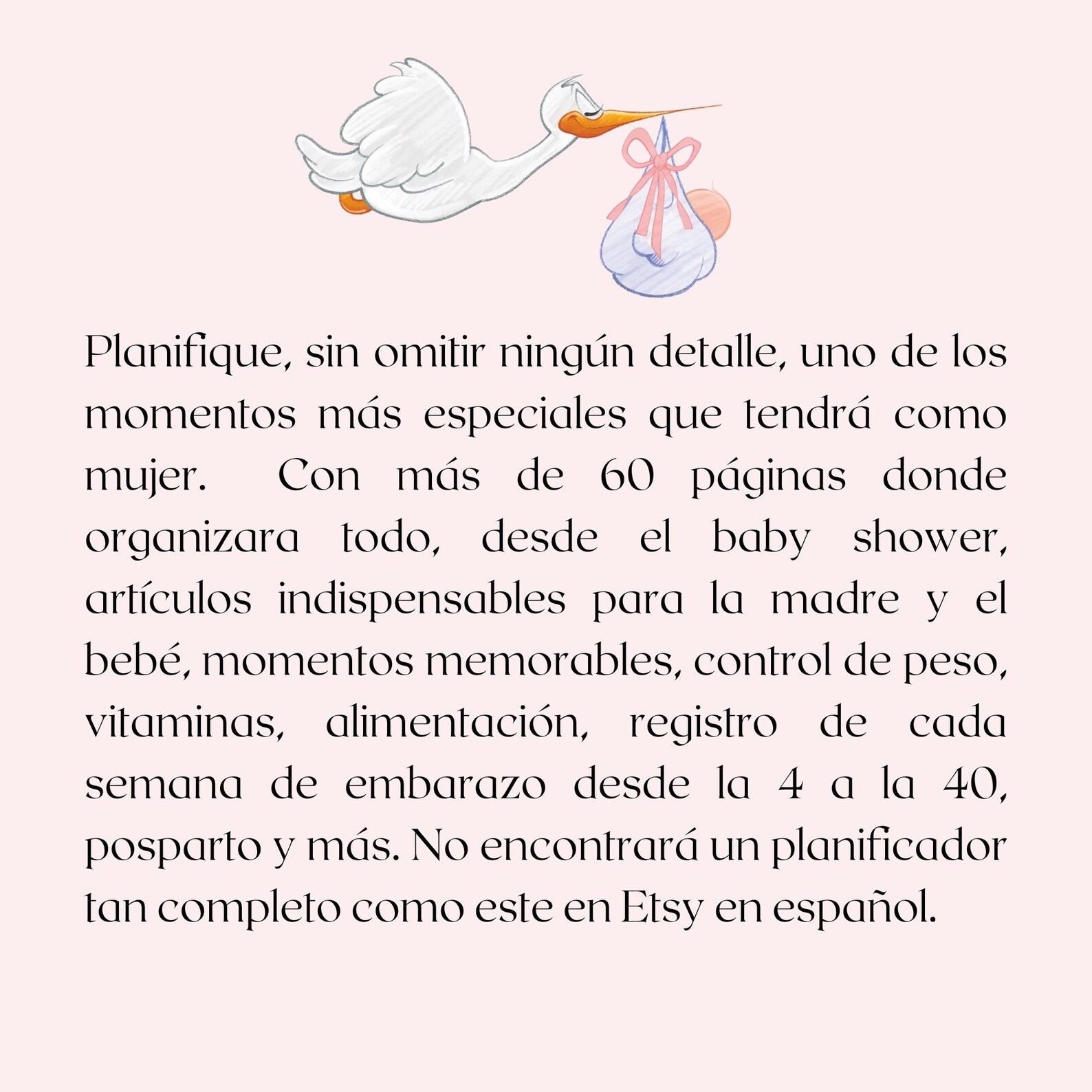 Spanish Pregnancy Planner Imprimible de Embarazo Diario de Etsy España