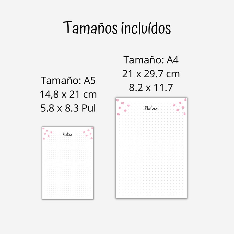 Minimalist 2024 Agenda in Spanish, 2024 Daily Agenda, Printable 2024