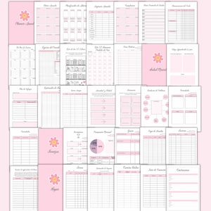 May include: A pink and white printable planner with sections for goals, finances, health, and more. The planner features a cute floral design.