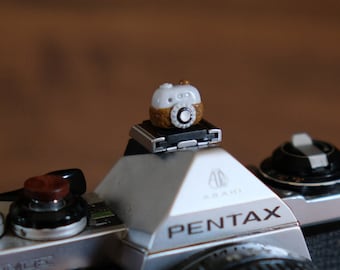 May include: A silver Pentax film camera with a black lens and a small white and brown camera figurine on top.