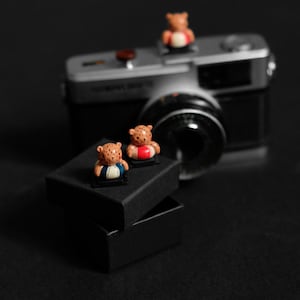 Camera Hotshoe Cover Tiny Floaty Bear 2 Colors - Mama & Daddy Bear Cute Animals - Handmade from Clay - Flash Cover Hot Shoe Accessories