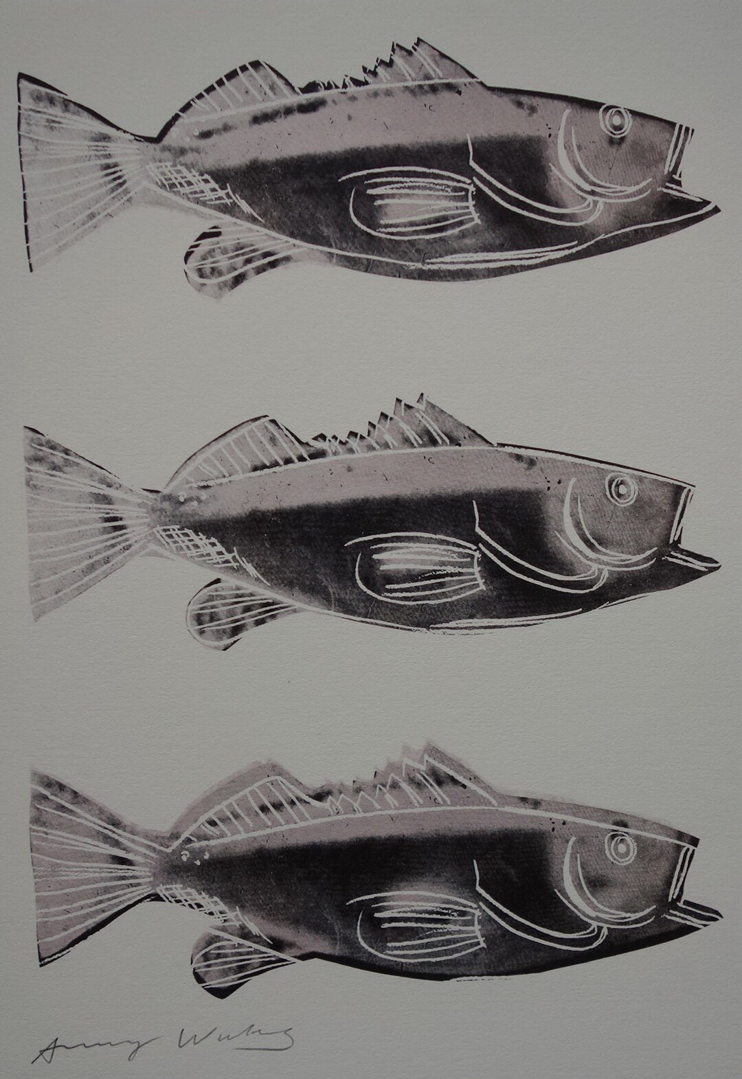 Fine Andy Warhol Pop Art Print - Fish, Signed & Stamped With Estate ...