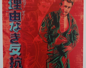 限定版ポップアートグラフィティホープシルクスクリーンセリグラフ