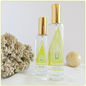 Connessione con il Sé “La tua coscienza espansa crea universi di infinite possibilità nel mondo fisico”