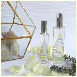 Può includere: Due bottiglie di vetro trasparente con tappi argentati e etichette che recitano "CONEXIÓN CETACEA". Le bottiglie sono su una superficie bianca con petali di rosa bianchi e un rametto di rosmarino.