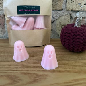 Hot Ghoul Autumn - Pink Ghosts Halloween Soy Wax Melts bild 1