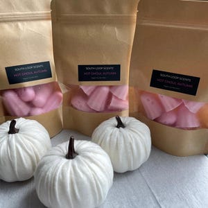Hot Ghoul Autumn - Pink Ghosts Halloween Soy Wax Melts bild 4