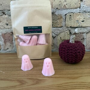 Hot Ghoul Autumn - Pink Ghosts Halloween Soy Wax Melts bild 9
