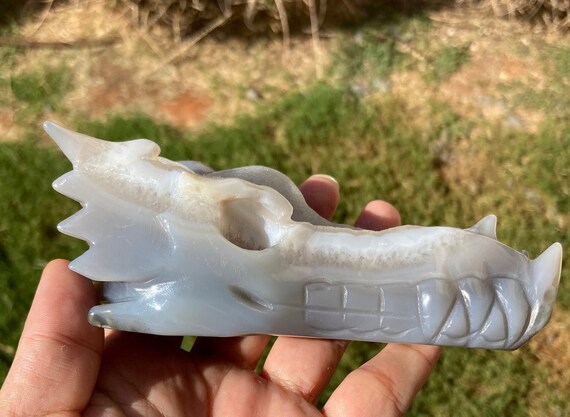 Druzy Agate Dragon Skull Druzy Agate Dragon Skull