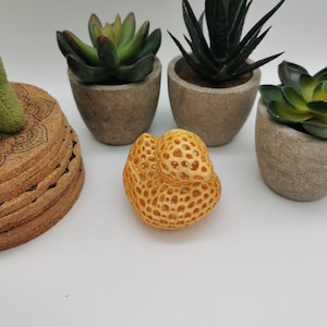 Voronoi gummianka - Wireframe designinredning | Anka | Badrumsinredning | Wireframe | Skrivbordsinredning | Heminredning | Anka | Ankunge | Kyckling | Anka