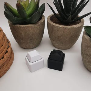 Könnte beinhalten: Zwei kleine quadratische Boxen, eine weiße und eine schwarze, mit einem erhabenen Knopf oben. Die Boxen stehen auf einer weißen Oberfläche.