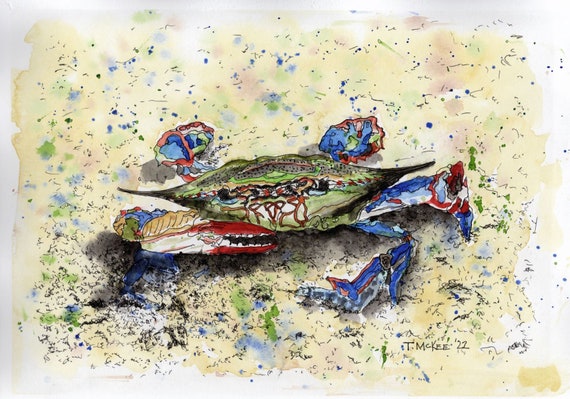 Snoozing Crab