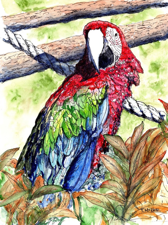 Parrot Wall Decor, watercolor print, tropical painting, bright colors