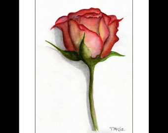 The Rose
