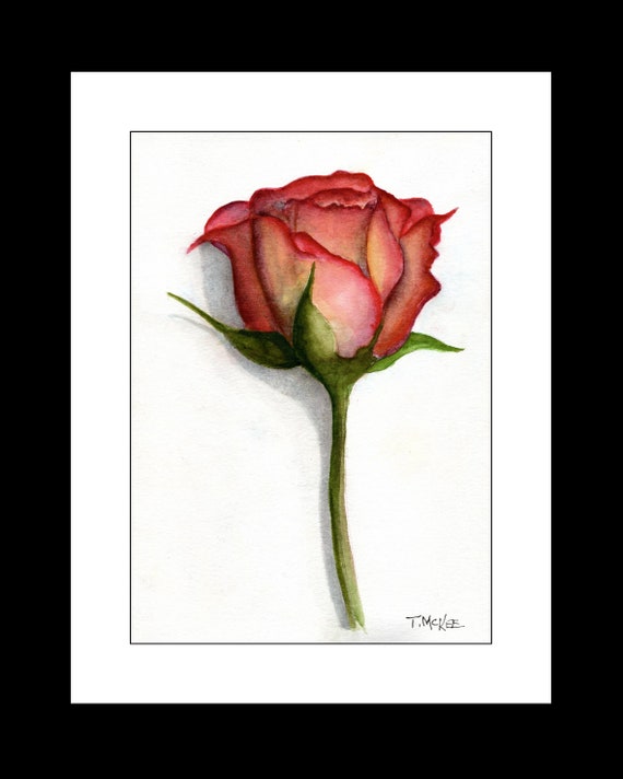 The Rose