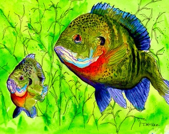Bluegill on the Hunt