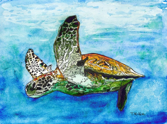 Meandering Sea Turtle