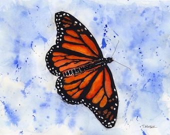 Natures Creatures