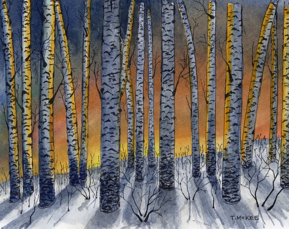 Winter Birches