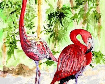 Jungle Flamingos