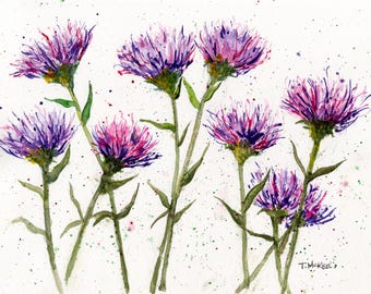 Asters in Bloom