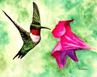 Ruby Throated Hummingbird Watercolor Print: Tony McKee Art, Pink Flower Nature Painting