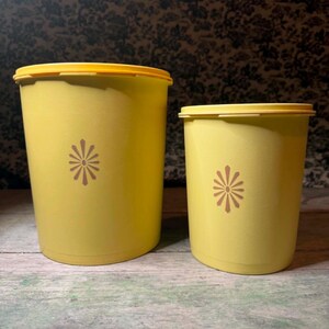Può includere: Due contenitori cilindrici in plastica gialla con coperchi gialli abbinati. Ogni contenitore presenta una piccola grafica floreale a forma di stella di colore marrone centrata sulla parte anteriore. I contenitori hanno altezze diverse.